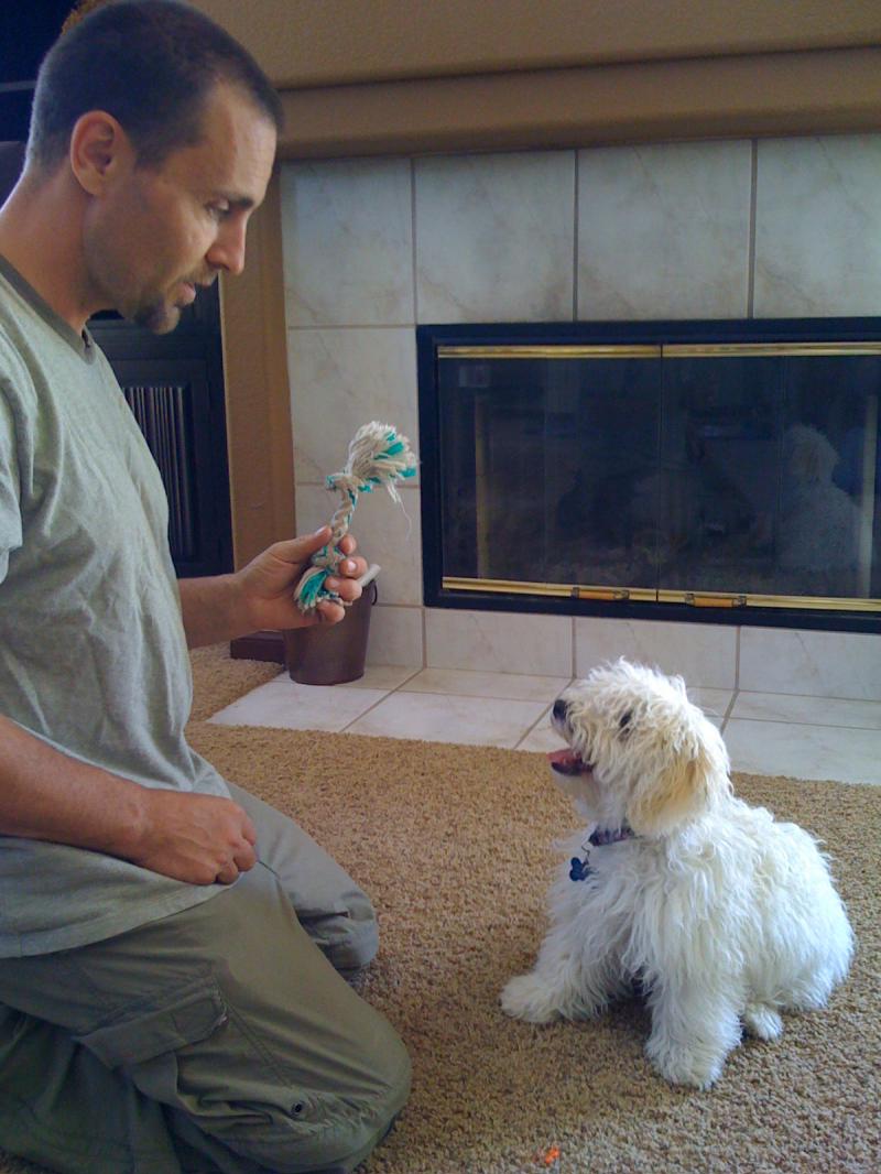thriving canine private in-home training