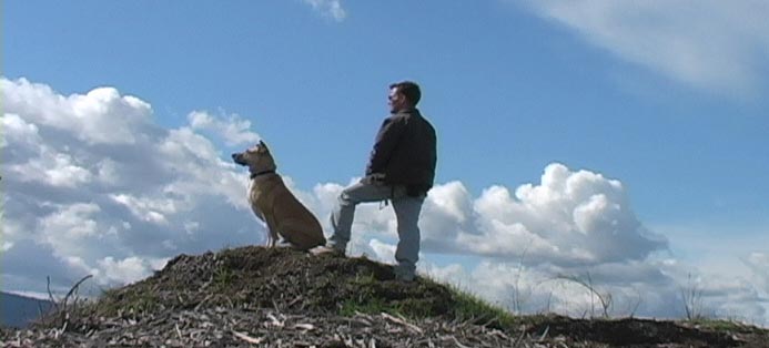 Chad Culp, Dog Trainer