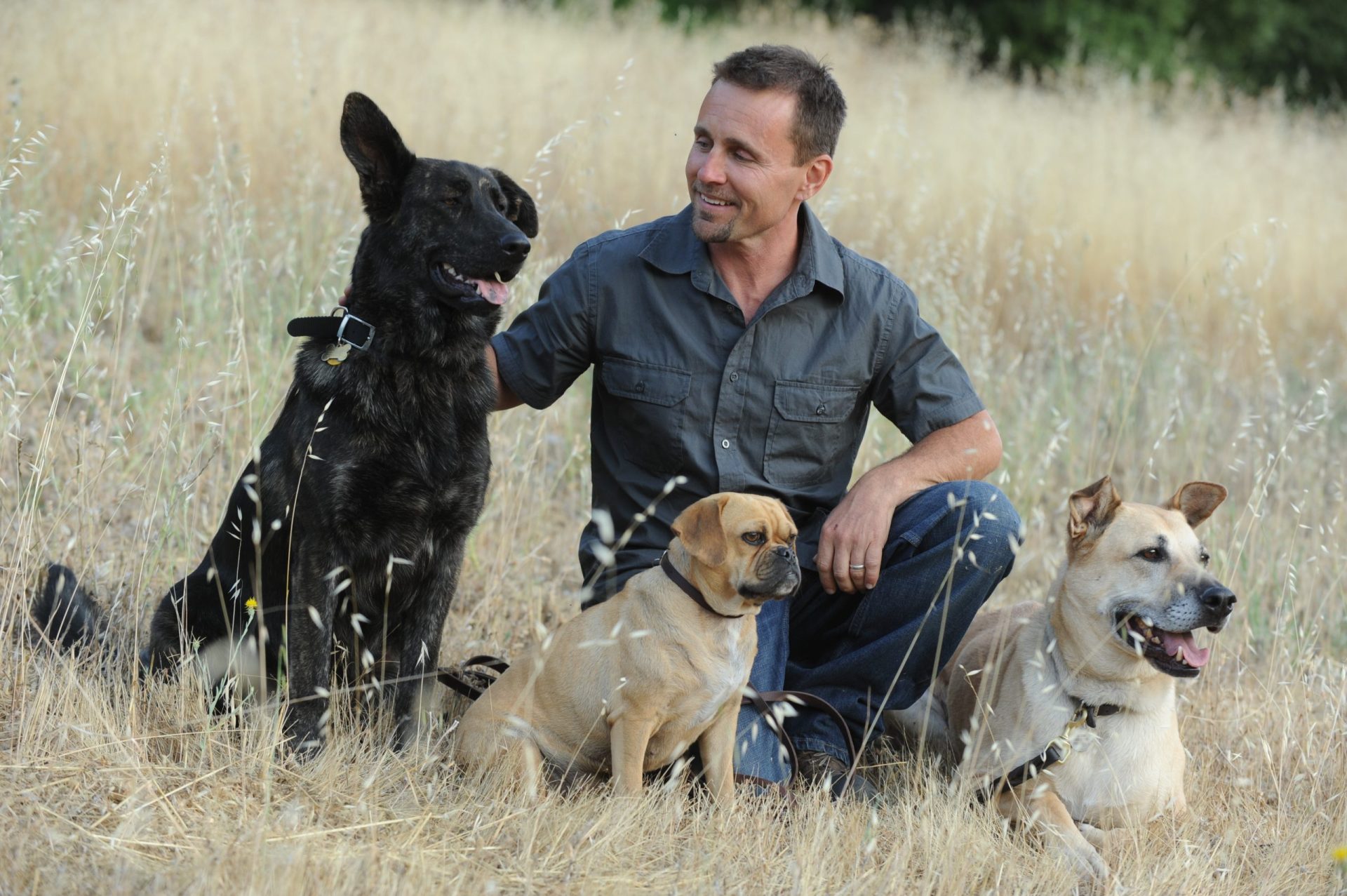 View of Q & A: Dog Afraid of the Kitchen - Thriving Canine