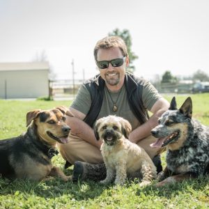 Dogs
